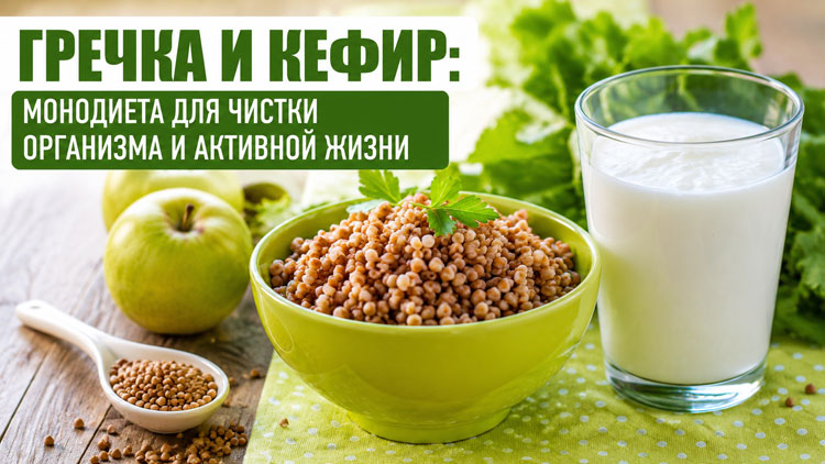 Гречка и кефир: монодиета для чистки организма и активной жизни